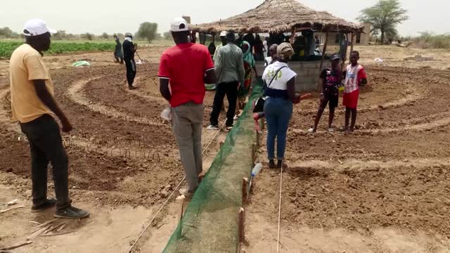 Senegal's circular gardens hold back the Sahara