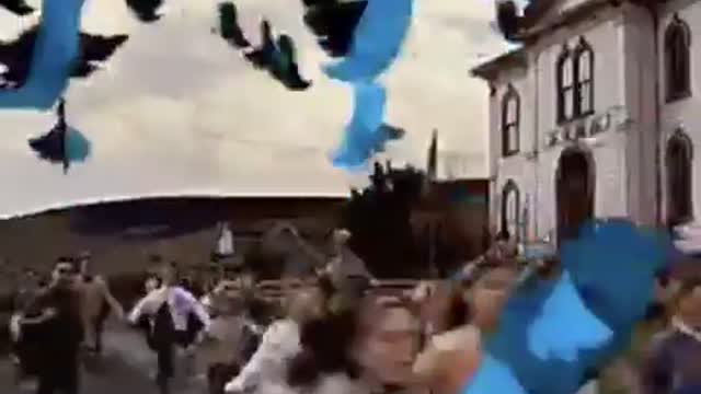 Twitter has turned into an episode of “The Birds.”