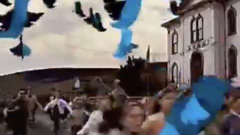 Twitter has turned into an episode of “The Birds.”