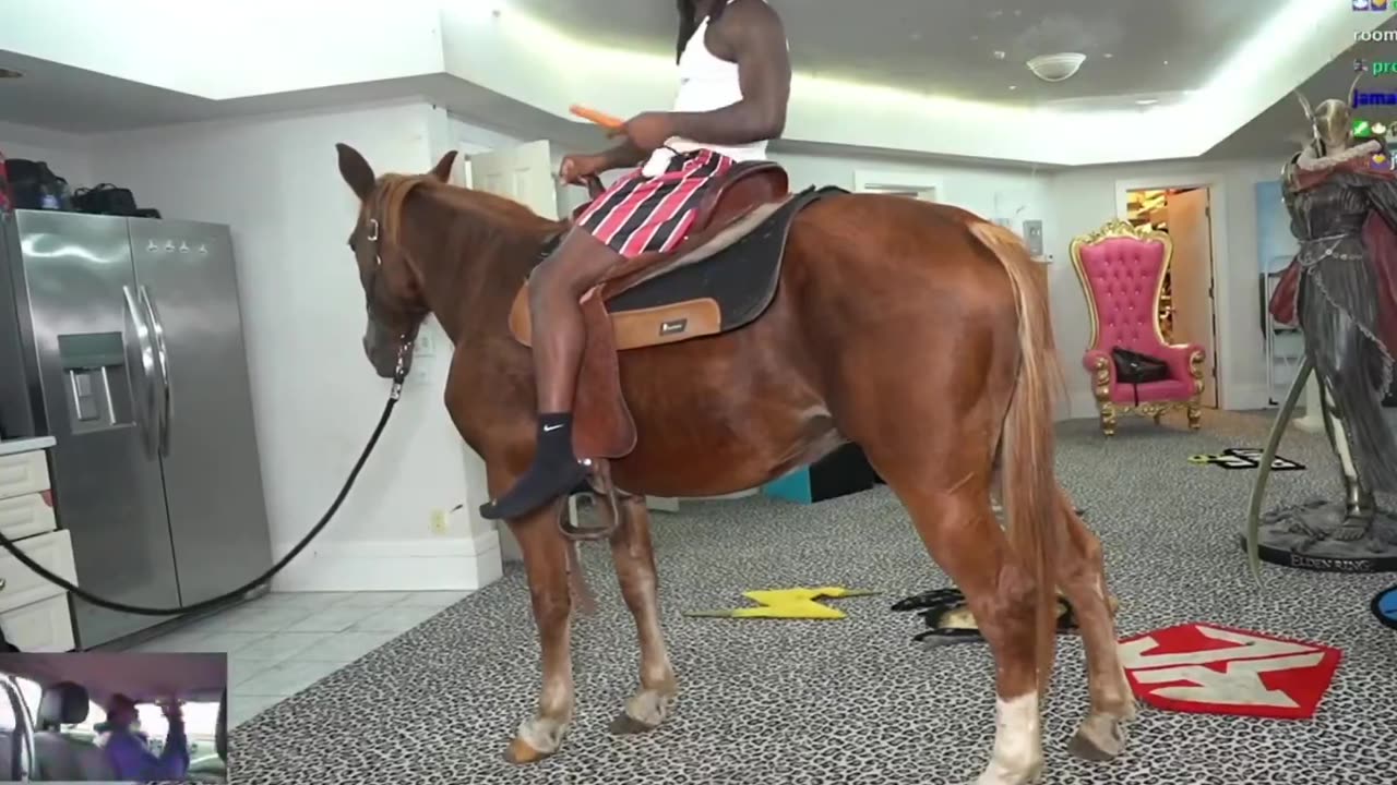 Kai Cenat just started his stream with a horse in his basement 😭😭