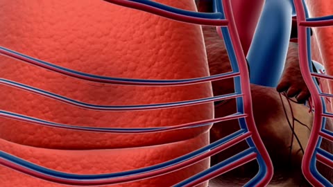 Pulmonary Embolism