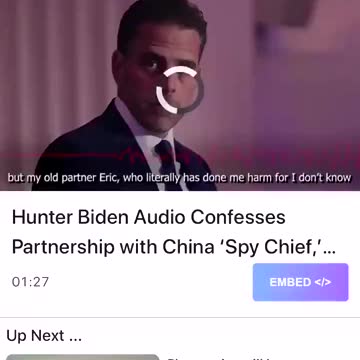 Hunter Biden confess