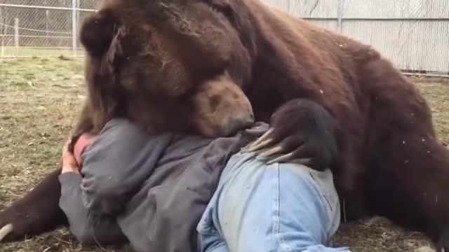 Animals Reunited With Owners After Years !!!