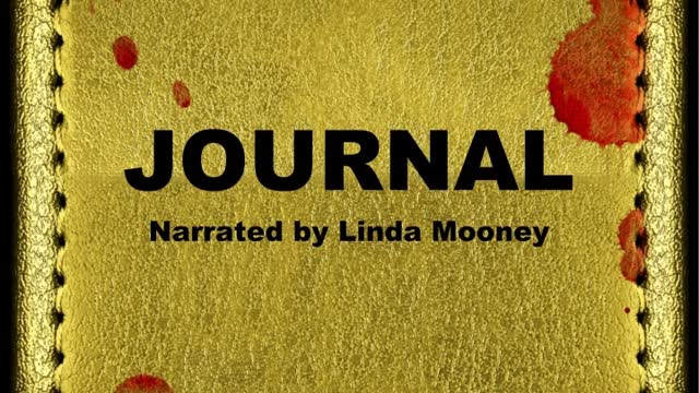 Journal, a Paranormal Horror Storry