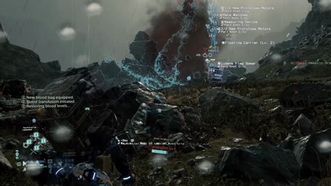 Flag Spear Delivery- Death Stranding