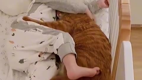 Cute baby and cat sleeping in the bed
