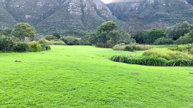 Mountain lands green