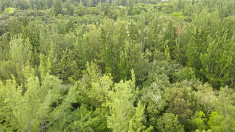 KaraBand @Markham Park MTB Flight