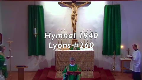 Lyon #260