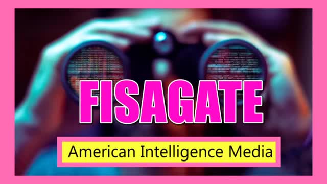 FISAGATE and Role of Michael Horowitz Jan 2018