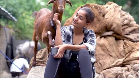 Trailer for a social project in India that cares for animals, Calf feels happy and grateful