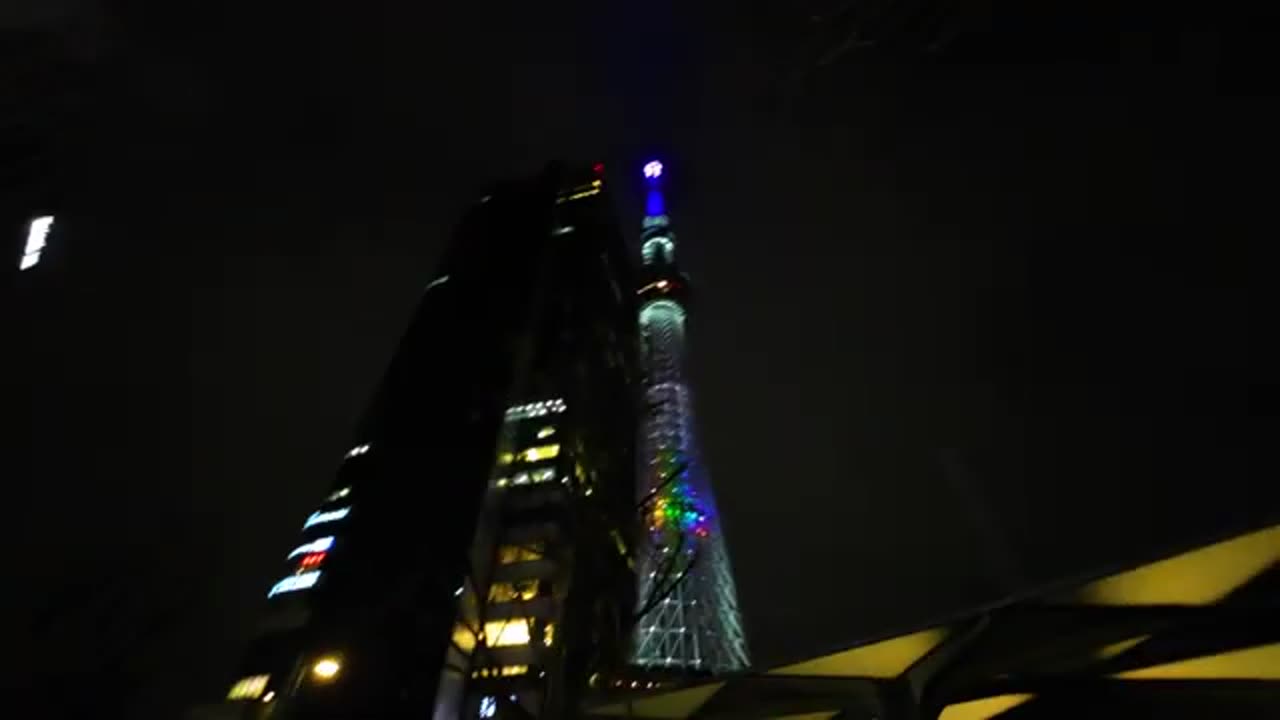 Finding The Best Food In Tokyo Japan Vlog