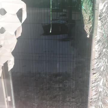 Snowing right now on Birmingham