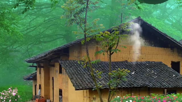 Peace calm relaxing sounds