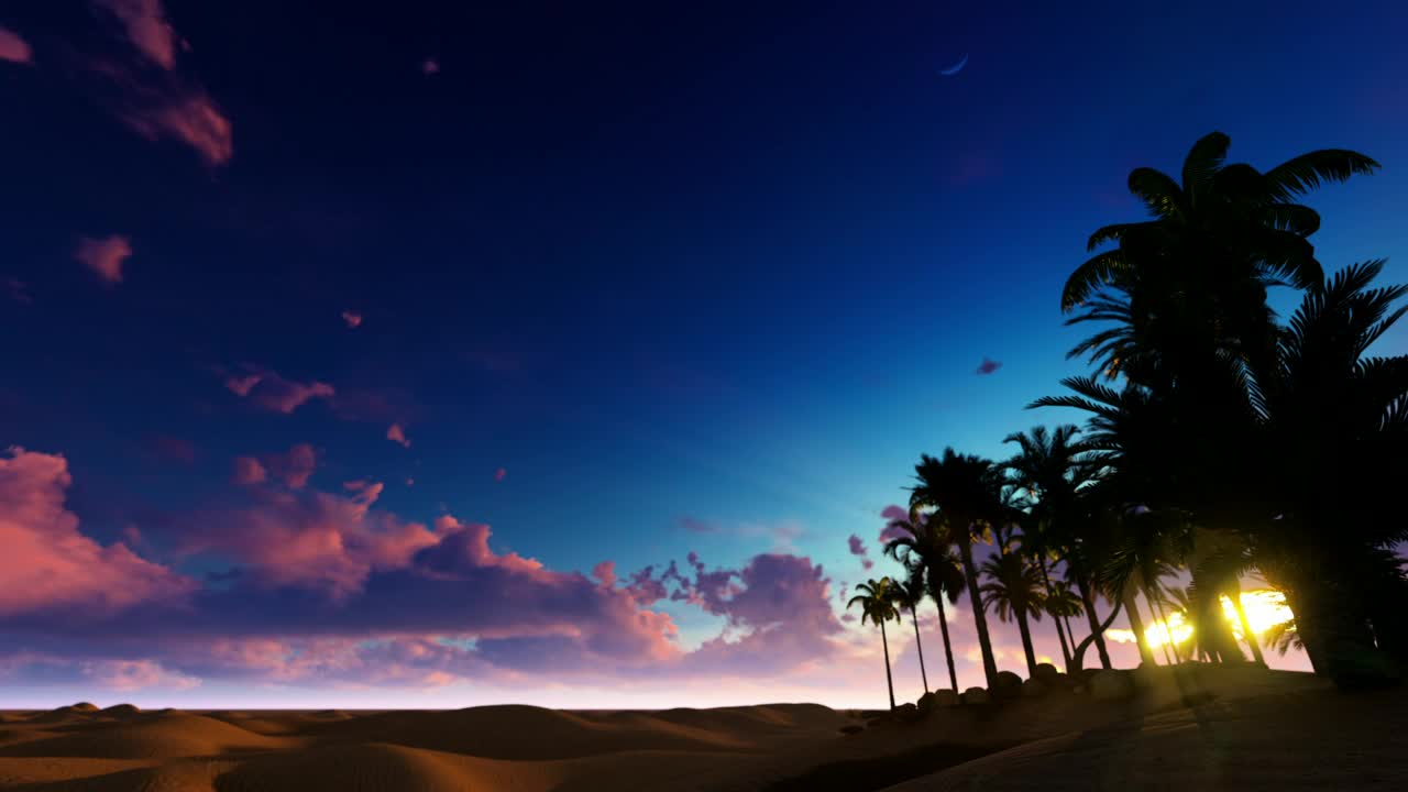 Sunset in the desert on the shore of an oasis