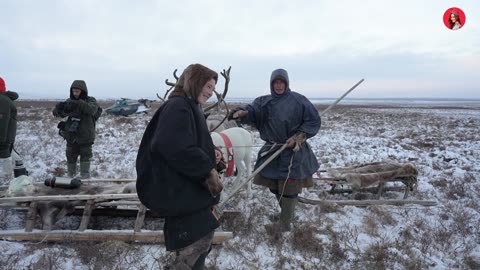 Life of Reindeer Herders in Russia’s Arctic Tundra 🦌