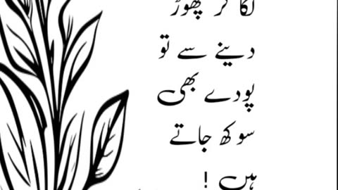 Urdu quotes