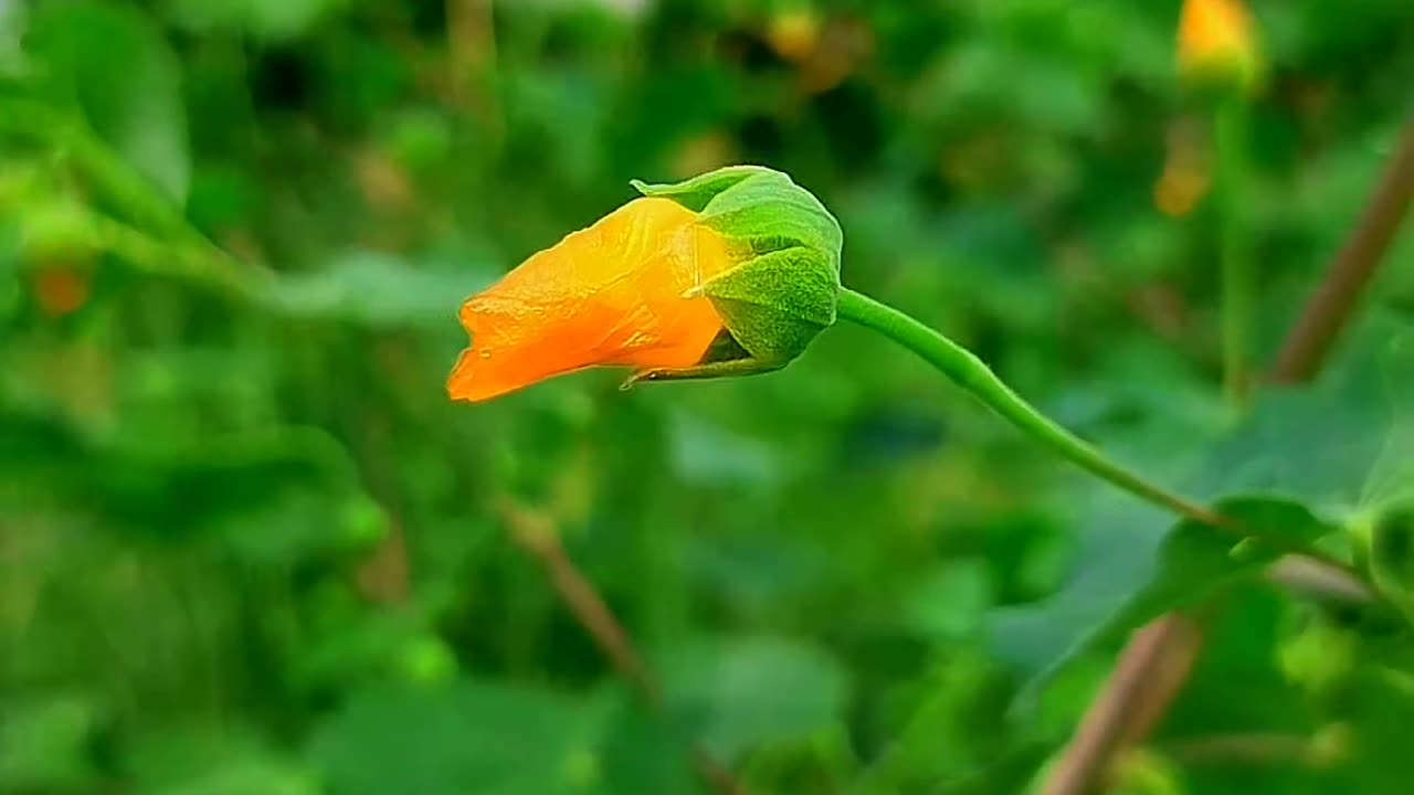 Beautiful nature