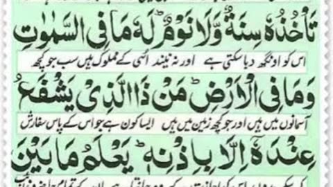 Quran reading