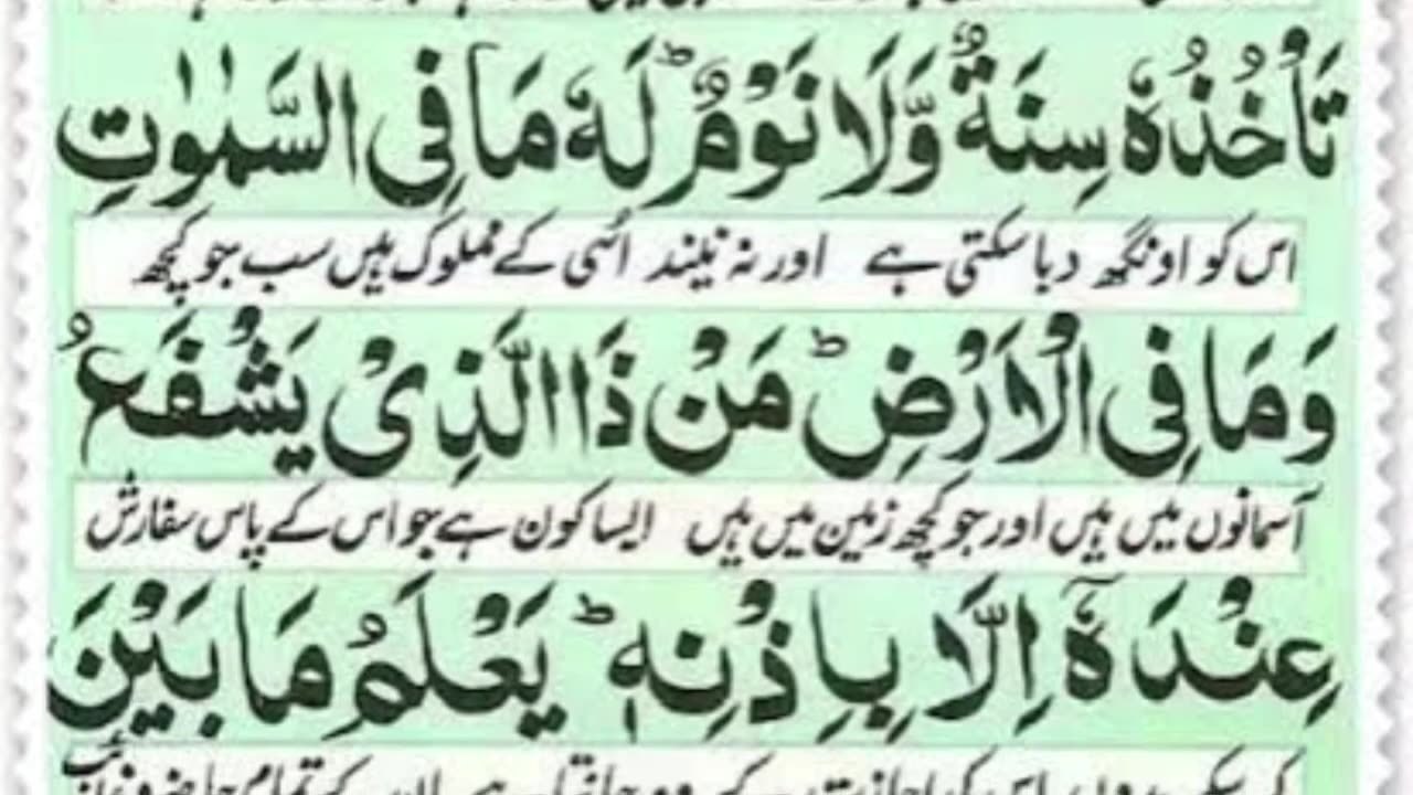 Quran reading