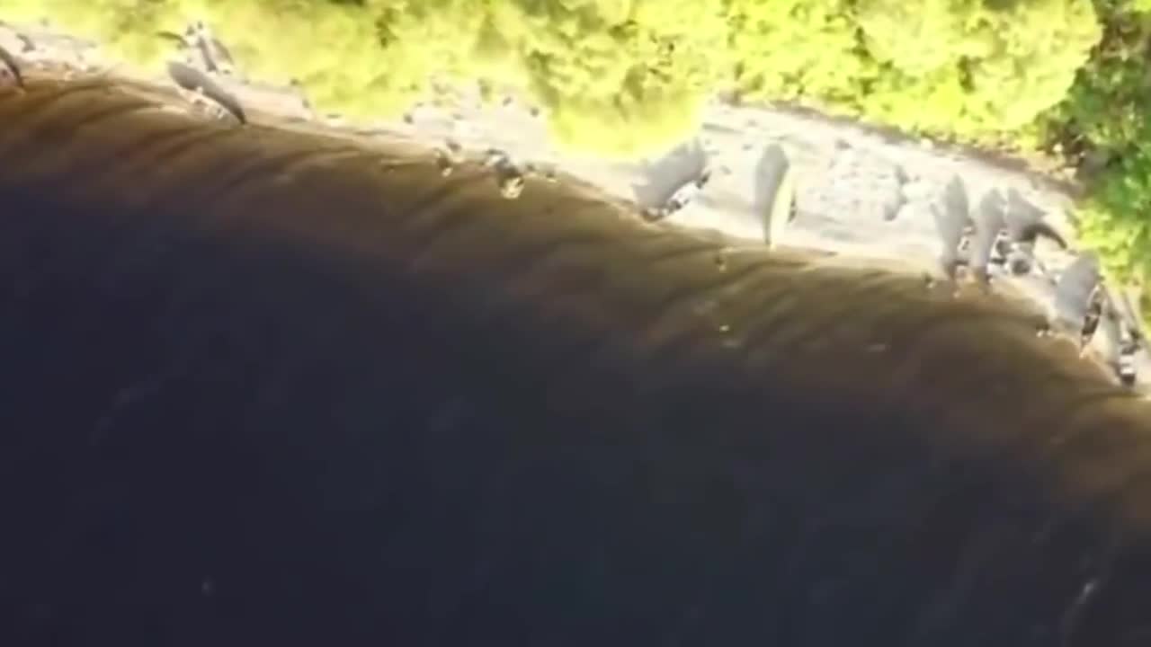 Loch Ness Monster caught on drone footage by camper - September 2021