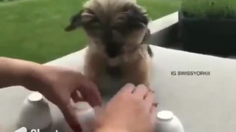 Keep Your Focus On The Goal #shorts #shortvideo #video #virals #videoviral