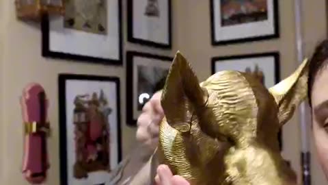 Unboxing The Harry Potter Pitcher From Universal Studios Orlando! #harrypotter #universalorlando