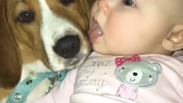 Cute Baby and Dog Lick each Other in the Mouth! 😂