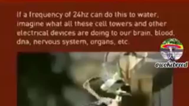 Mind/Body Altering Frequencies? Are Cell Phone Changing Our Behavior? 📱