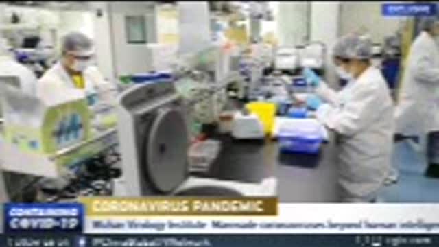 Plandemic Part 1 - Judy Mikovits
