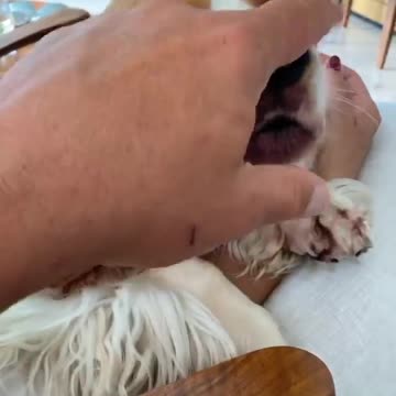 He wants to eat my finger