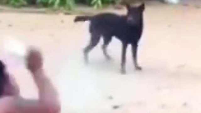 Man Falls Down Trying To Scare Dog