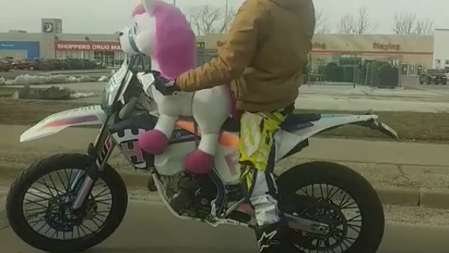 Man Takes His Stuffed Unicorn For A Strange Motorcycle Ride