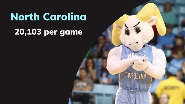 Basketball Teams with the highest attendance