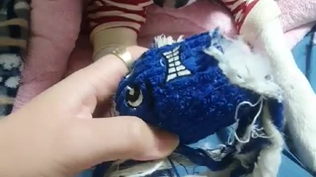 Puppy toy