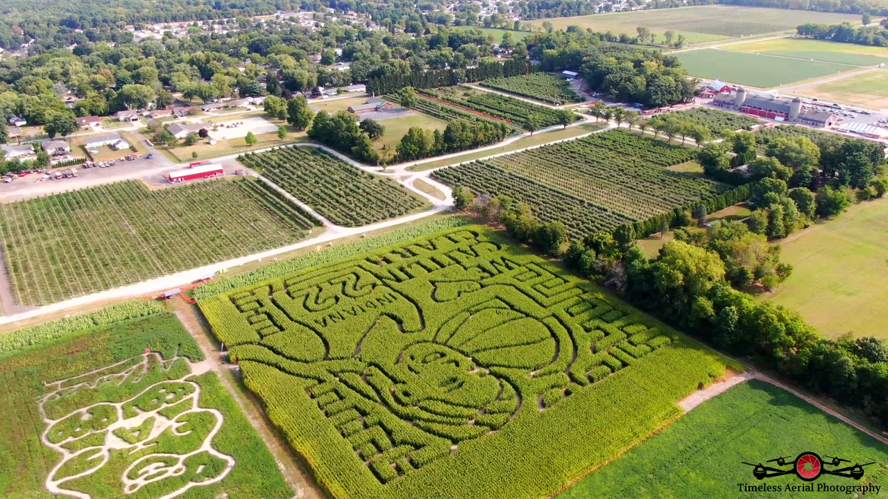 Caitlin Clark Corn Maze At County Line Orchard Tour Celebrating Women's Sports 4K Drone Footage