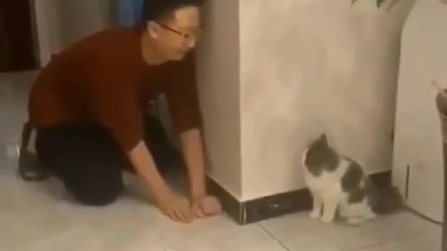 Scared pussy