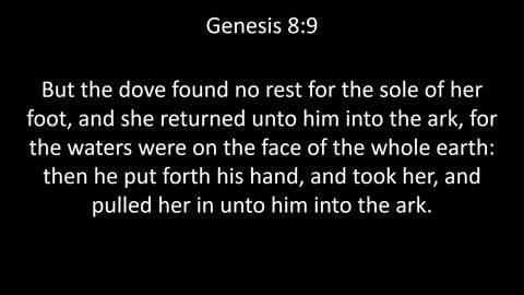 KJV Bible Genesis Chapter 8