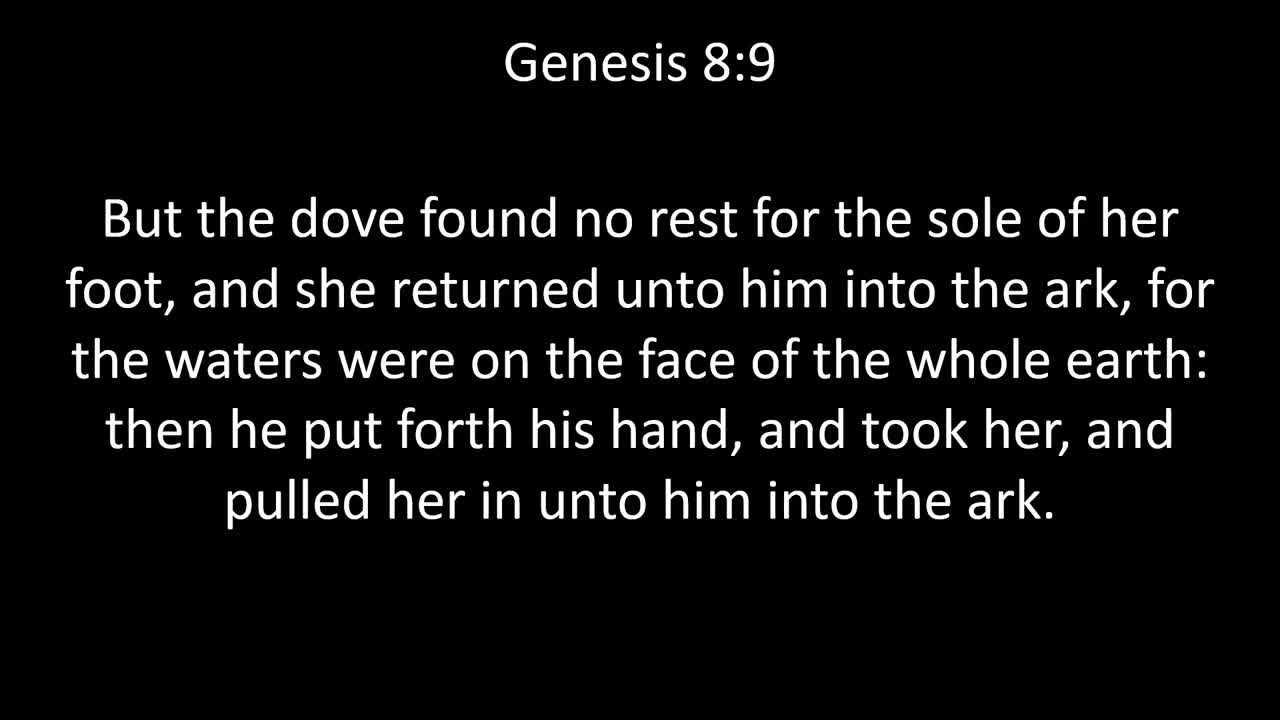 KJV Bible Genesis Chapter 8