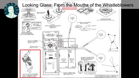 Project Looking Glass. From the whistle-blowers themselves