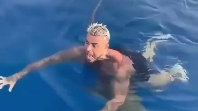 Swimmer Encounters a Real Shark
