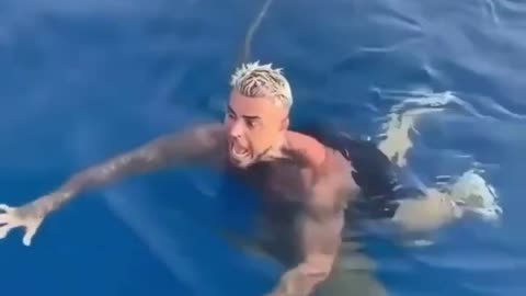 Swimmer Encounters a Real Shark