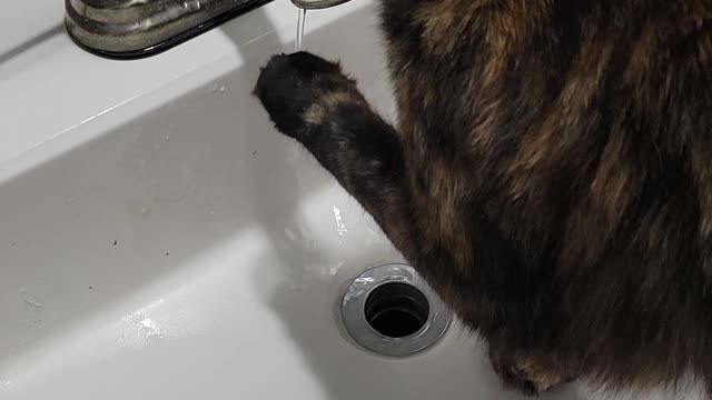 Boots watches the water