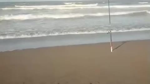 The Best Times For Fishing
