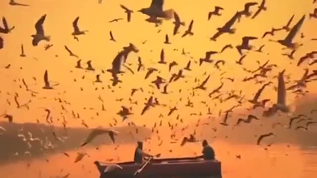 Nature is the art of God 🌅🕊