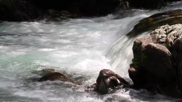 Great Smoky Mountains Moment 1