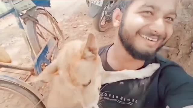 Dog lover human