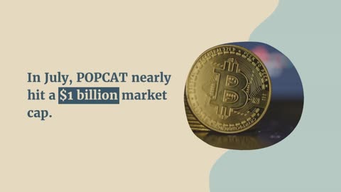 POPCAT Makes It Back to Top 100, Puts Solana Meme Coins in the Spotlight