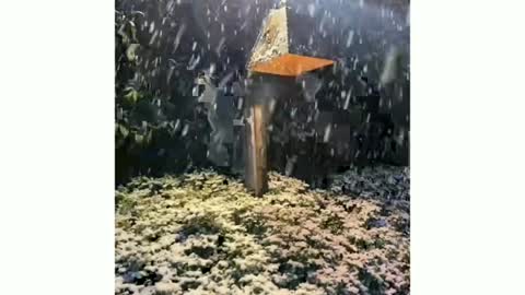 Snow In Brazil