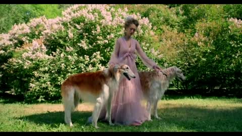 Relaxing Music | Sleeping, Meditation, Stress Relief | [1545] ⭐️